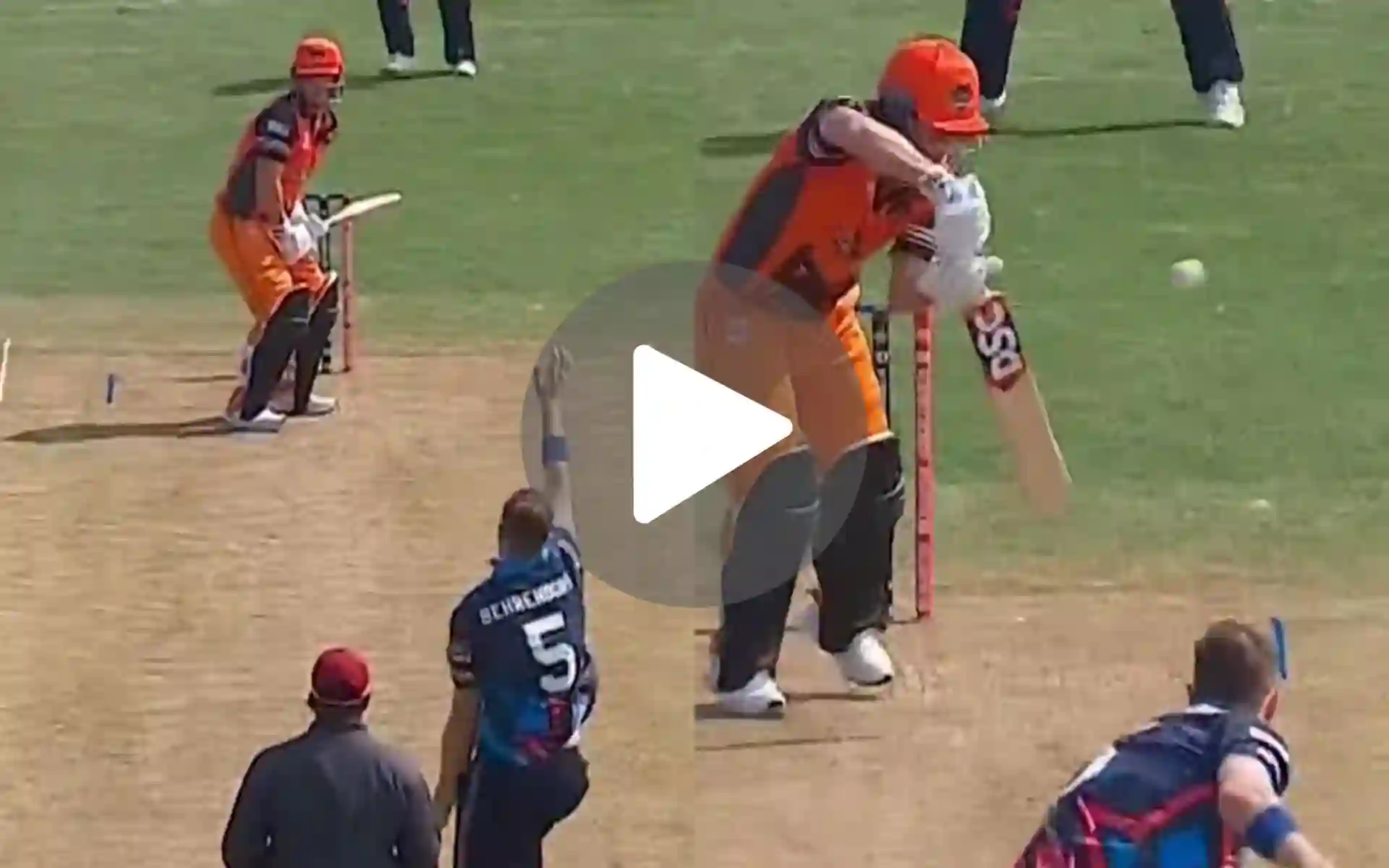 [Watch] Ex-MI Star Makes David Warner His Bunny In Global T20 Canada 2024